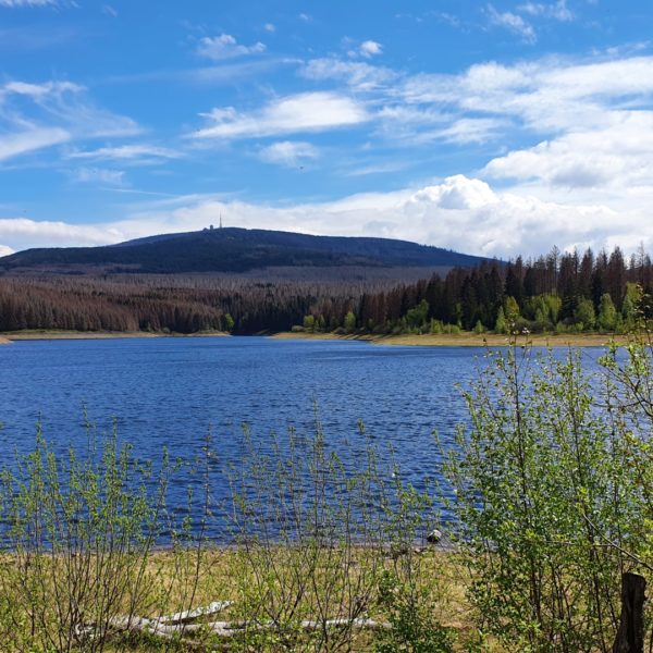 Wandern im Harz